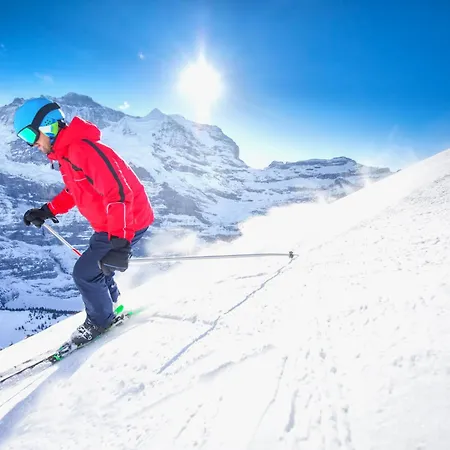 Attika Allod Park Haus C 801 By Interhome Davos