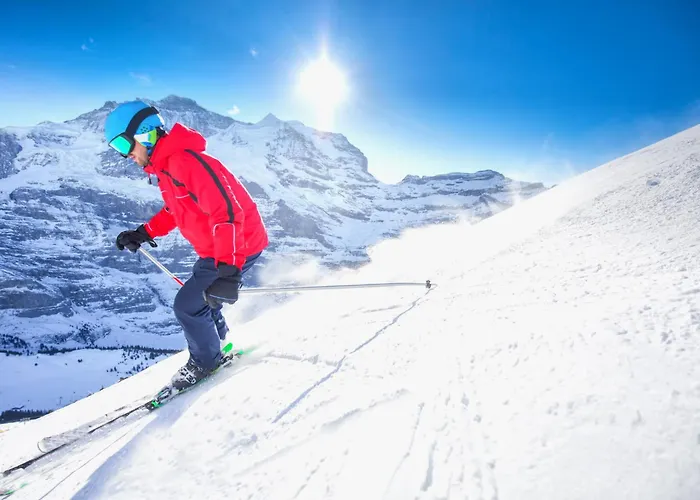 Attika Allod Park Haus C 801 By Interhome Davos